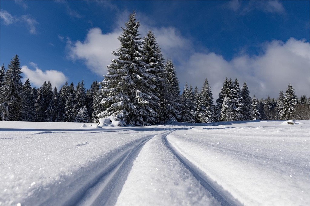 Preparándonos para conducir con nieve