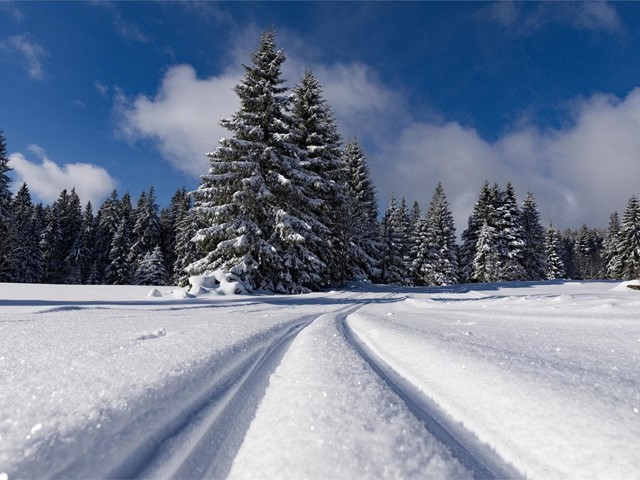 Preparándonos para conducir con nieve